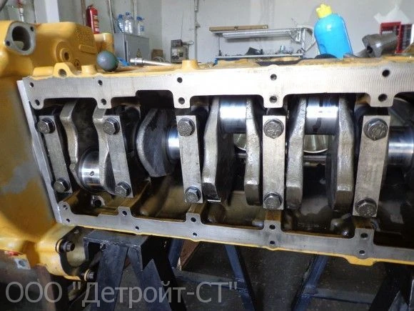 Cat C13