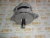 Генератор 12V, 100A Cummins 6ISBe 5282836 (TT11940, 8076N, 88-02508-SX, 10459205, TT11554, 2874862, 4936876, 3935527, 3918558) – Запчасти Cummins фото (Стартеры и генераторы) Генератор 12V, 100A Cummins 6ISBe 5282836 (TT11940, 8076N, 88-02508-SX, 10459205, TT11554, 2874862, 4936876, 3935527, 3918558) фото запчасти