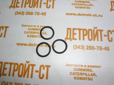 Кольцо уплотнительное компрессора воздушного Cummins ISF3.8, 4ISBе4.5, 6ISBe6.7 4895710 (4994574) фото запчасти