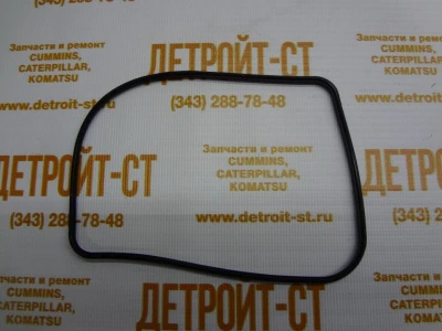 Прокладка  Cummins 3679931 фото запчасти
