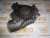 Насос масляный Deutz 913/914 04154885 (04231306, 0423-1306, 4231306, 4154885, 0415-4885, 04152881, 04232511, 04159966, 0415-2881, 0423-2511, 0415-9966) – Запчасти Deutz фото (Масляные насосы) Насос масляный Deutz 913/914 04154885 (04231306, 0423-1306, 4231306, 4154885, 0415-4885, 04152881, 04232511, 04159966, 0415-2881, 0423-2511, 0415-9966) фото запчасти