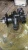 Насос водяной Cummins QSM/ISM/M-11 4955706 (3800745, 3800479, 4003929, 3401009, 4972857) – Запчасти Cummins фото (Водяные насосы) Насос водяной Cummins QSM/ISM/M-11 4955706 (3800745, 3800479, 4003929, 3401009, 4972857) фото запчасти