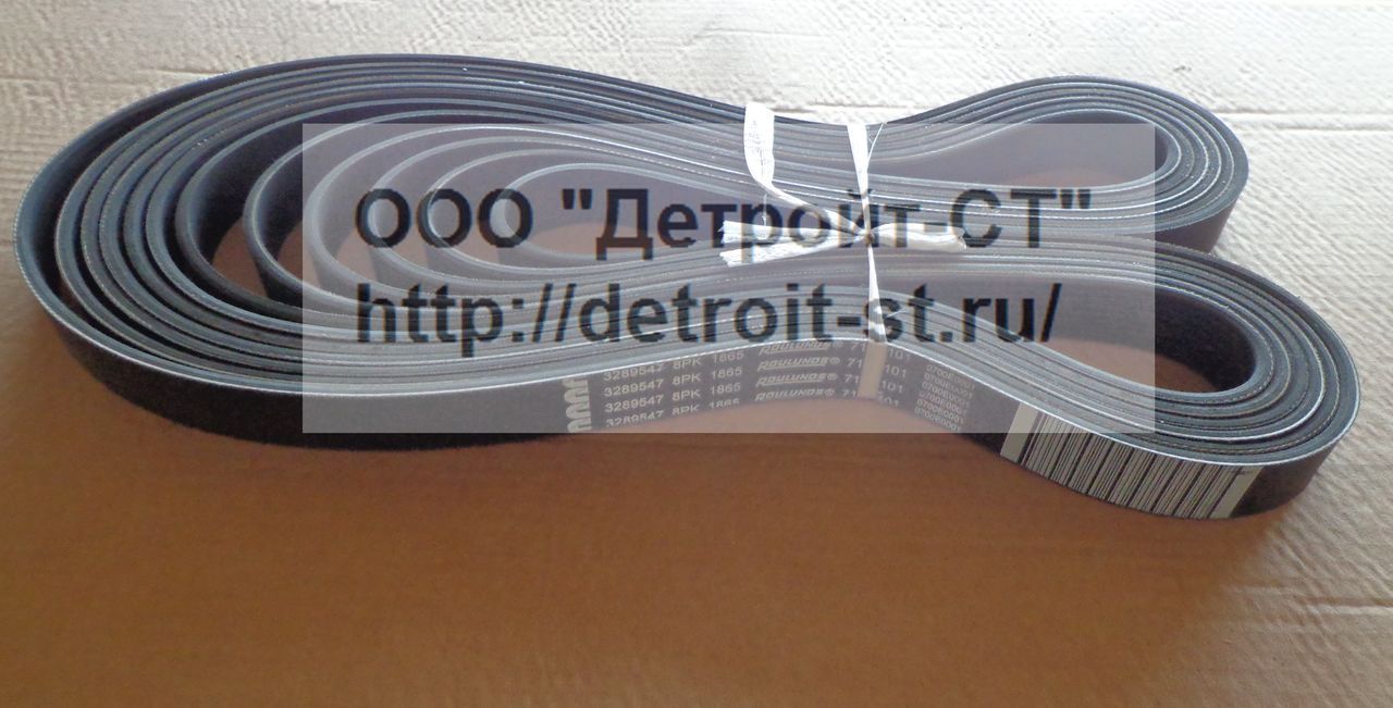 Ремень Cummins 3289547 (3919248) фото запчасти