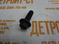 Болт крепления шестерни распредвала, помпы, форсунки, коллектора впускного, фиксатора трубок к форсункам, скобы генератора, ТННД 3093730 (3918109, 3904341, 3900631, 3907860, 3901755) фото запчасти