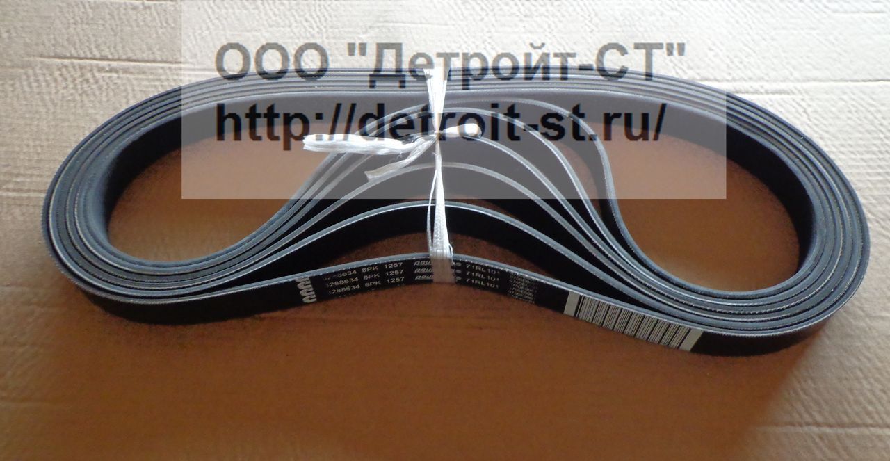 Ремень Cummins 3288634 (3937661,3934957,) фото запчасти