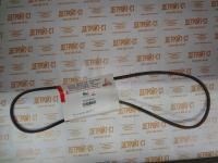 Клиновой ремень 01179791 (1179791, 0117-9791) фото запчасти