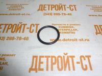 Кольцо уплотнительное QSM, ISM, M11 3035026 фото запчасти