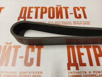 Ремень Cummins 3289001 (3911566, 8PK1613) фото запчасти