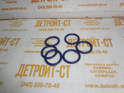 Кольцо форсунки 109-3207 (1093207, 495681) фото запчасти