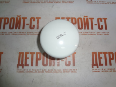 Фильтр предохранитель от коррозии Cummins 4058964 (WF2073, J4058964, 4058964, 3100306) фото запчасти