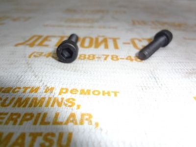 Болт крепления кольца частоты вращения распредвала для двигателя Cummins 4895877 фото запчасти