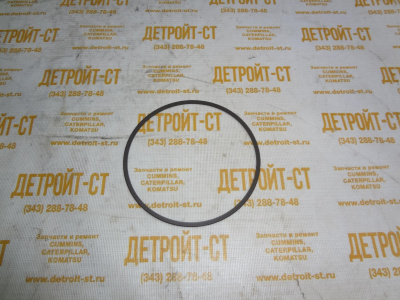 Опорное кольцо ZGAQ-02925 фото запчасти