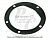 Gasket, Raw W/P Cover 5193562 фото запчасти
