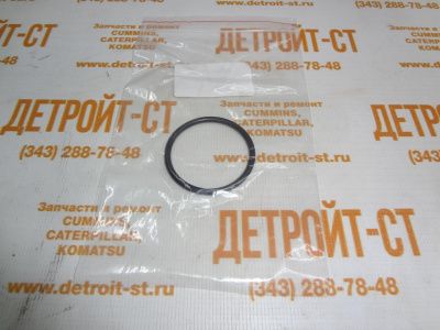 Уплотнительное кольцо 2S4078 (CA2S4078, 2S-4078) фото запчасти