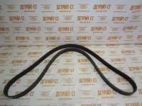 Ремень Cummins 3289246 (3099255) фото запчасти