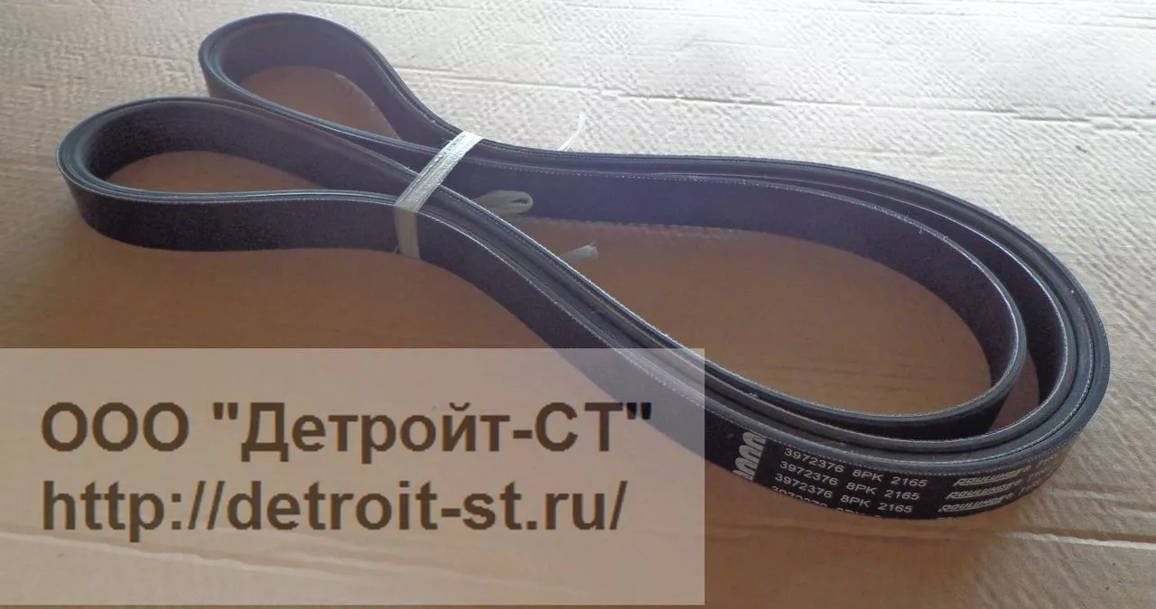 Ремень Cummins 3972376 фото запчасти