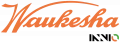 Запчасти Waukesha фото