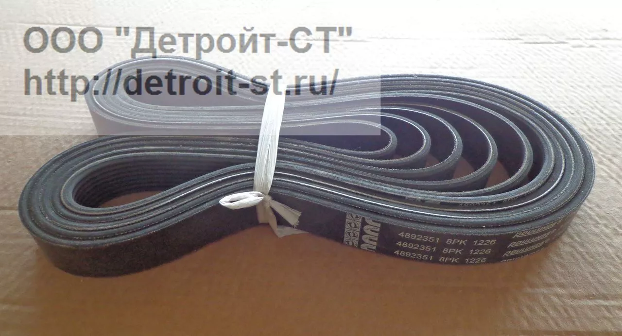 Ремень водяного насоса Cummins ISBe-4,5 (номера по замене: 4990977, 4892351) фото запчасти