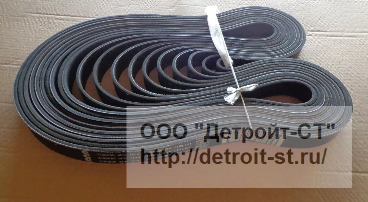 Ремень Cummins 3288889 (3911569) фото запчасти