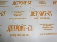 Кольцо уплотнительное масляного насоса M11 3033247 фото запчасти