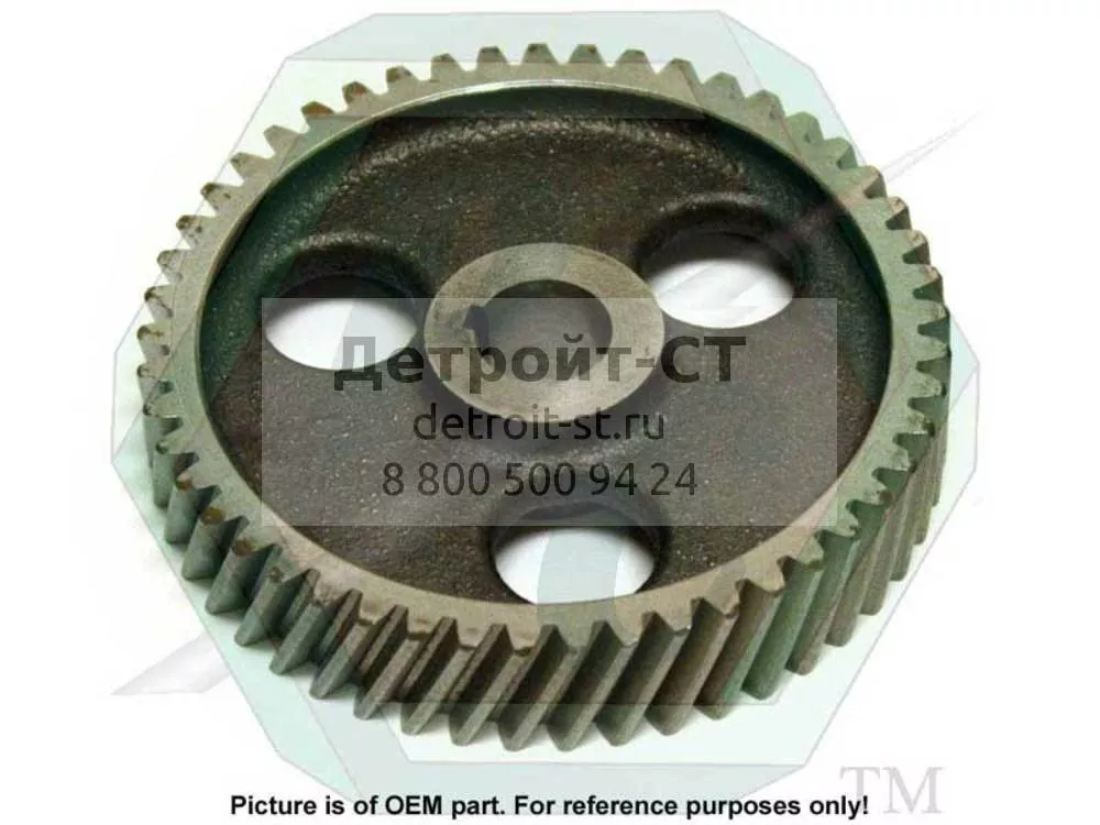 Gear, Gov. Drive, 49 Tooth R.H., 3/4-53 5116025 фото запчасти