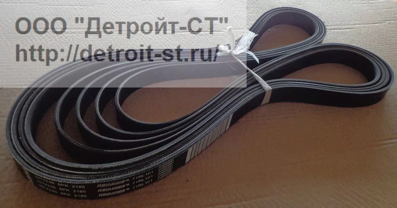 Ремень Cummins 3974246 (5255302) фото запчасти